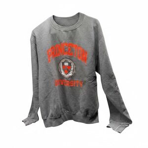 Champion Princeton University Sweatshirt Mens Medium Gray Crewneck Fleece Logo